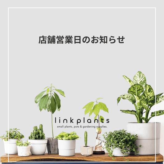 【2024/01/15 更新】新店舗営業開始日について