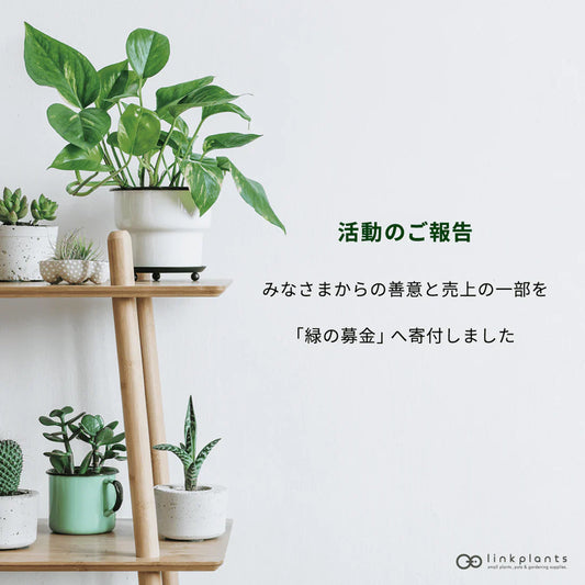 みなさまからの善意・売上の一部を「緑の募金」へ寄付しました