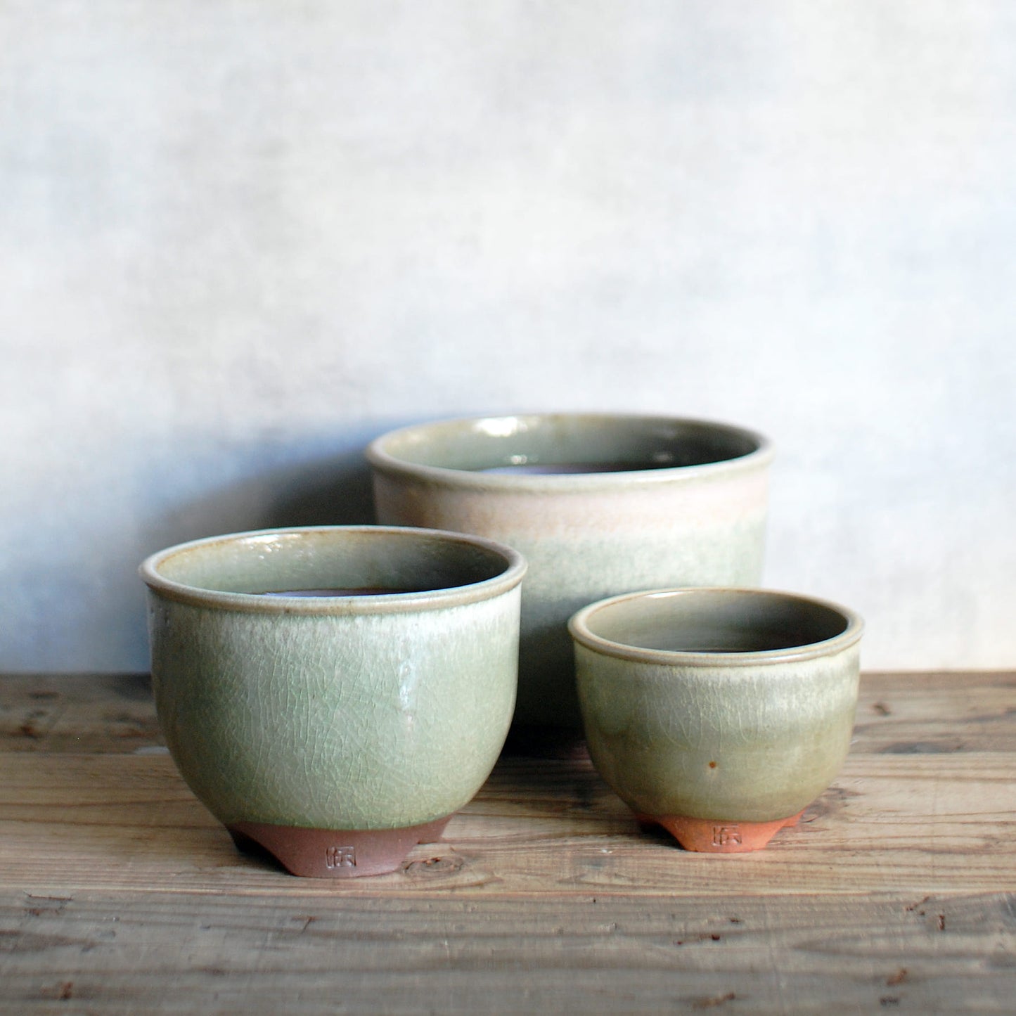 伝市鉢 コウロ型(サクラソウ型) 自然釉(土灰釉)5号