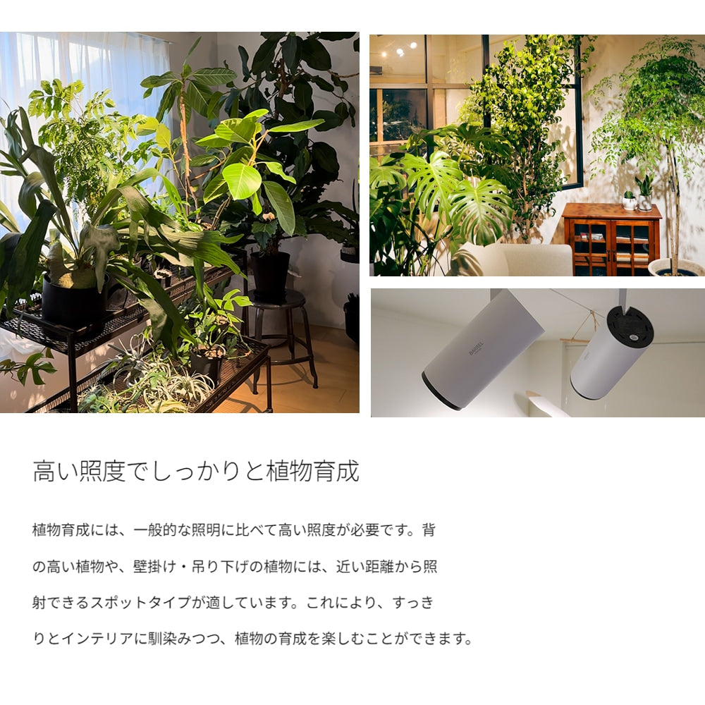 HADES LED 20W(ハデスLED)ダクトレール用 高演色植物育成ライト