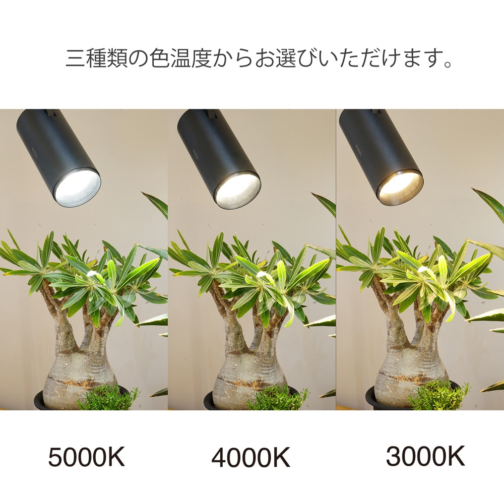 HADES LED 20W(ハデスLED)ダクトレール用 高演色植物育成ライト