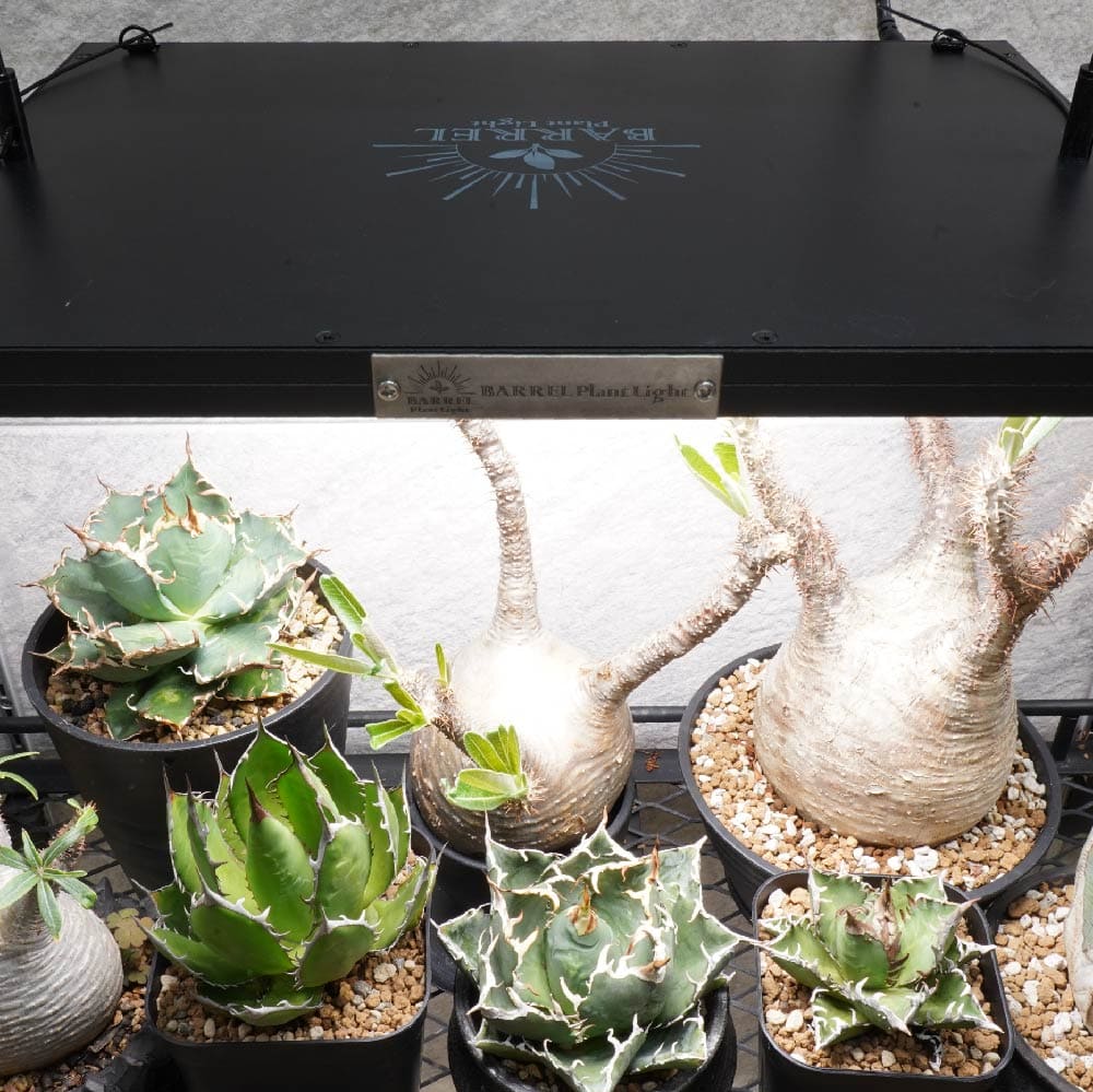 ROKI‐350 100W(ロキ350)パネルライト 超高演色 植物育成ライト