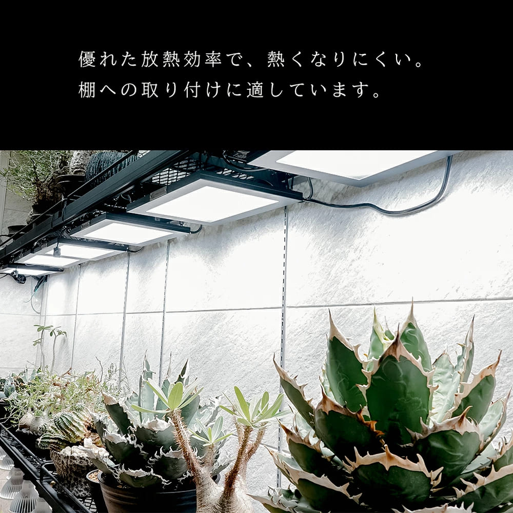 ROKI‐350 100W(ロキ350)パネルライト 超高演色 植物育成ライト