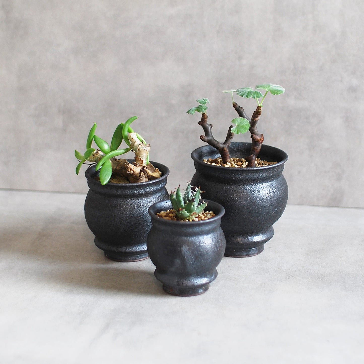 泥彩 壺鉢(豆鉢) 山元一真(淡海陶芸研究所)