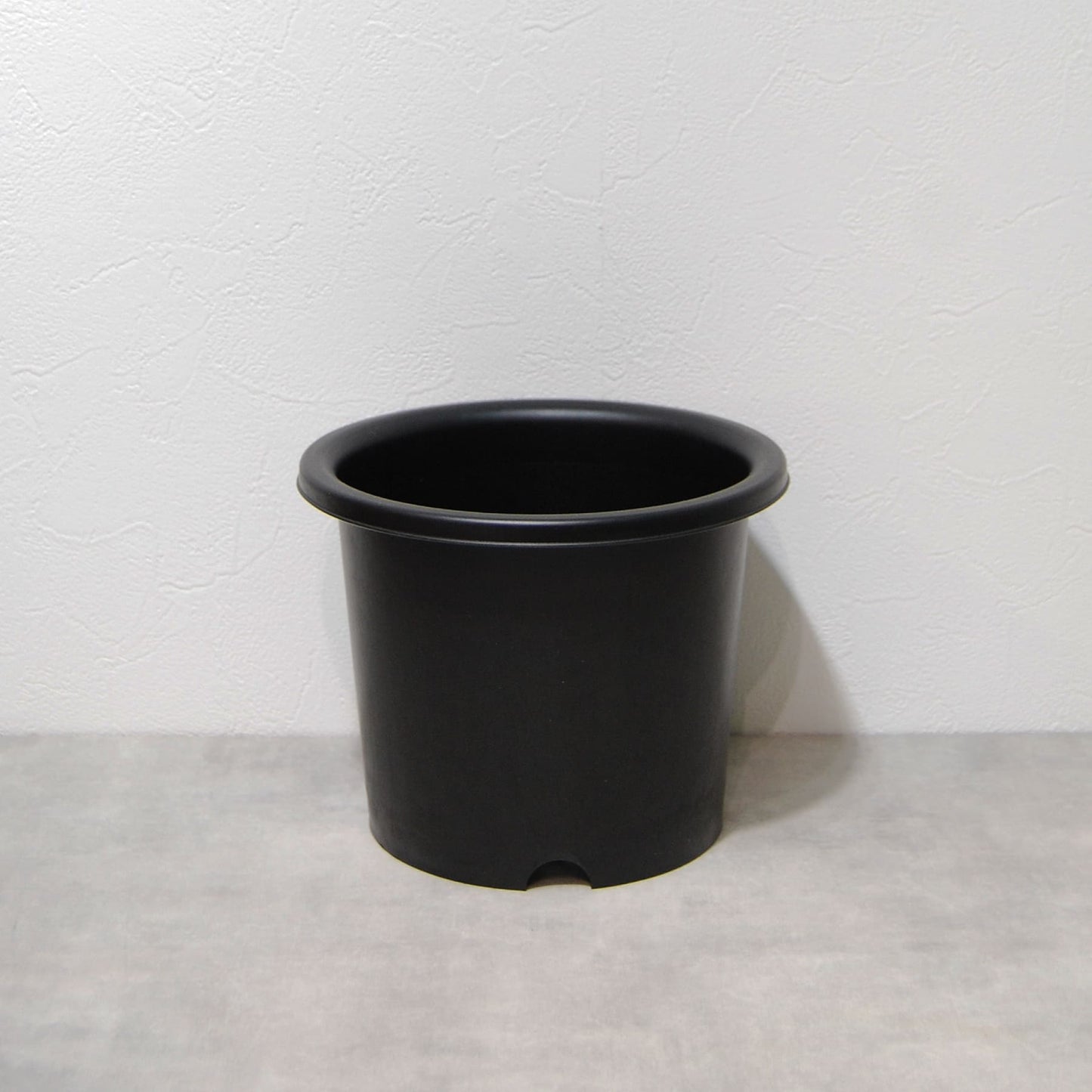 菊鉢 6号 大和プラスチック