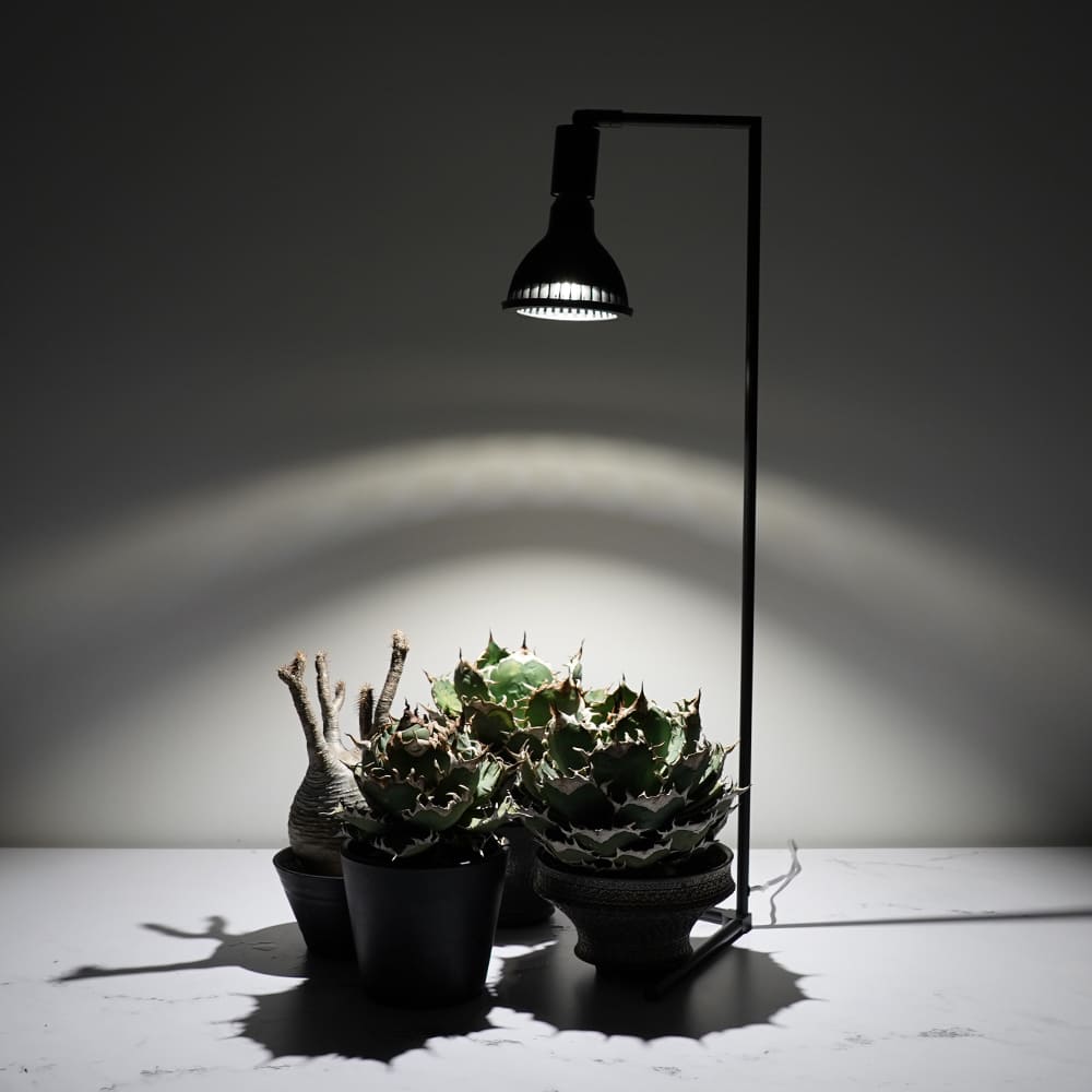 フロアーランプスタンド アコン 74cm(AKOND)LEDライトスタンド