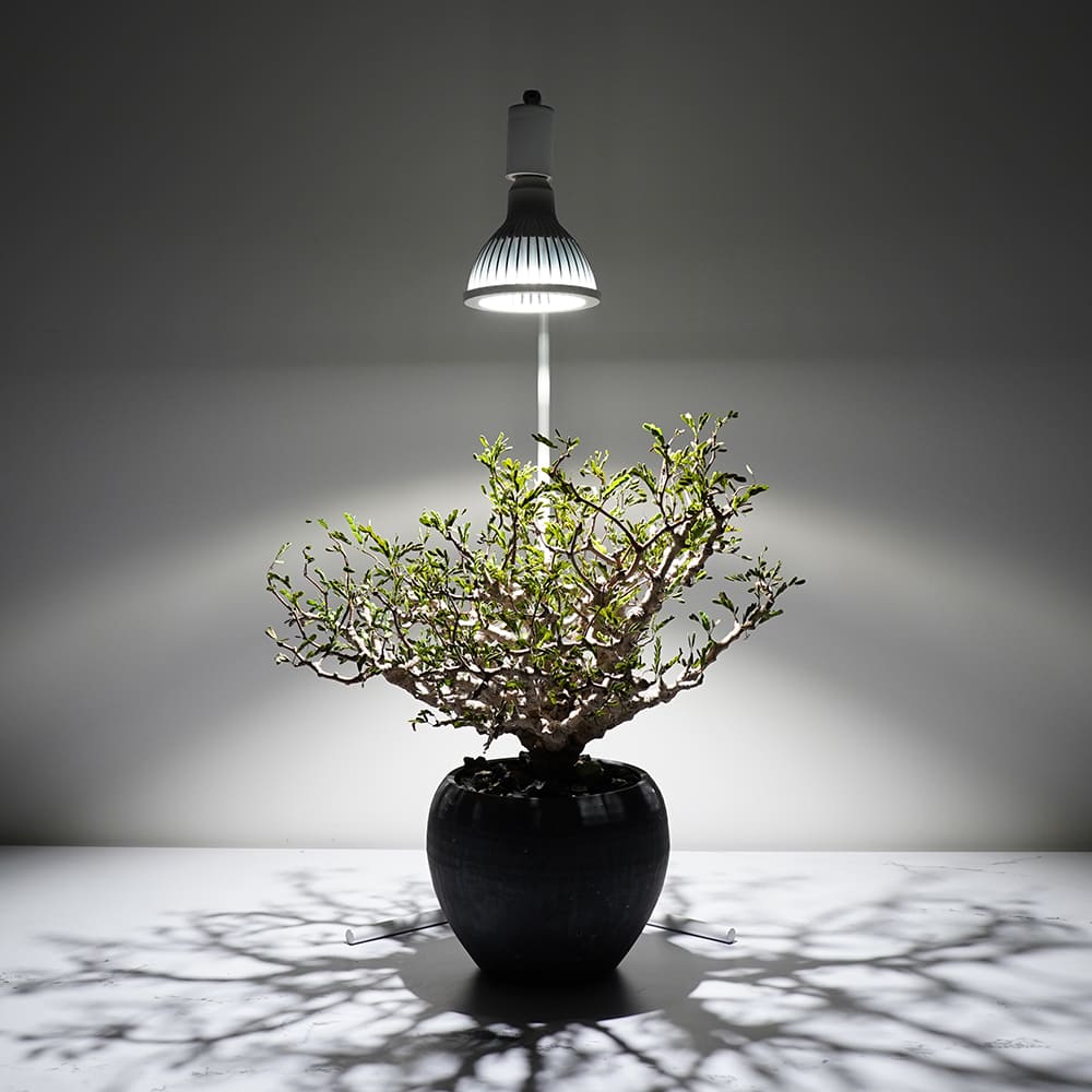 フロアーランプスタンド アコン 74cm(AKOND)LEDライトスタンド