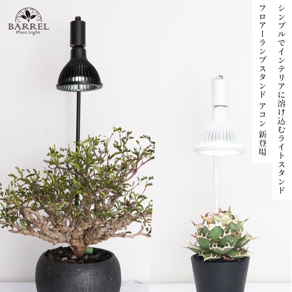 フロアーランプスタンド アコン 74cm(AKOND)LEDライトスタンド