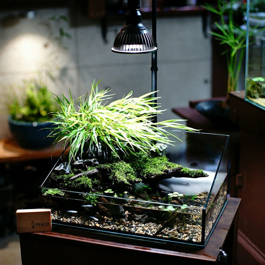 AMATERAS LED 10W(アマテラスLED 10W)植物育成LED