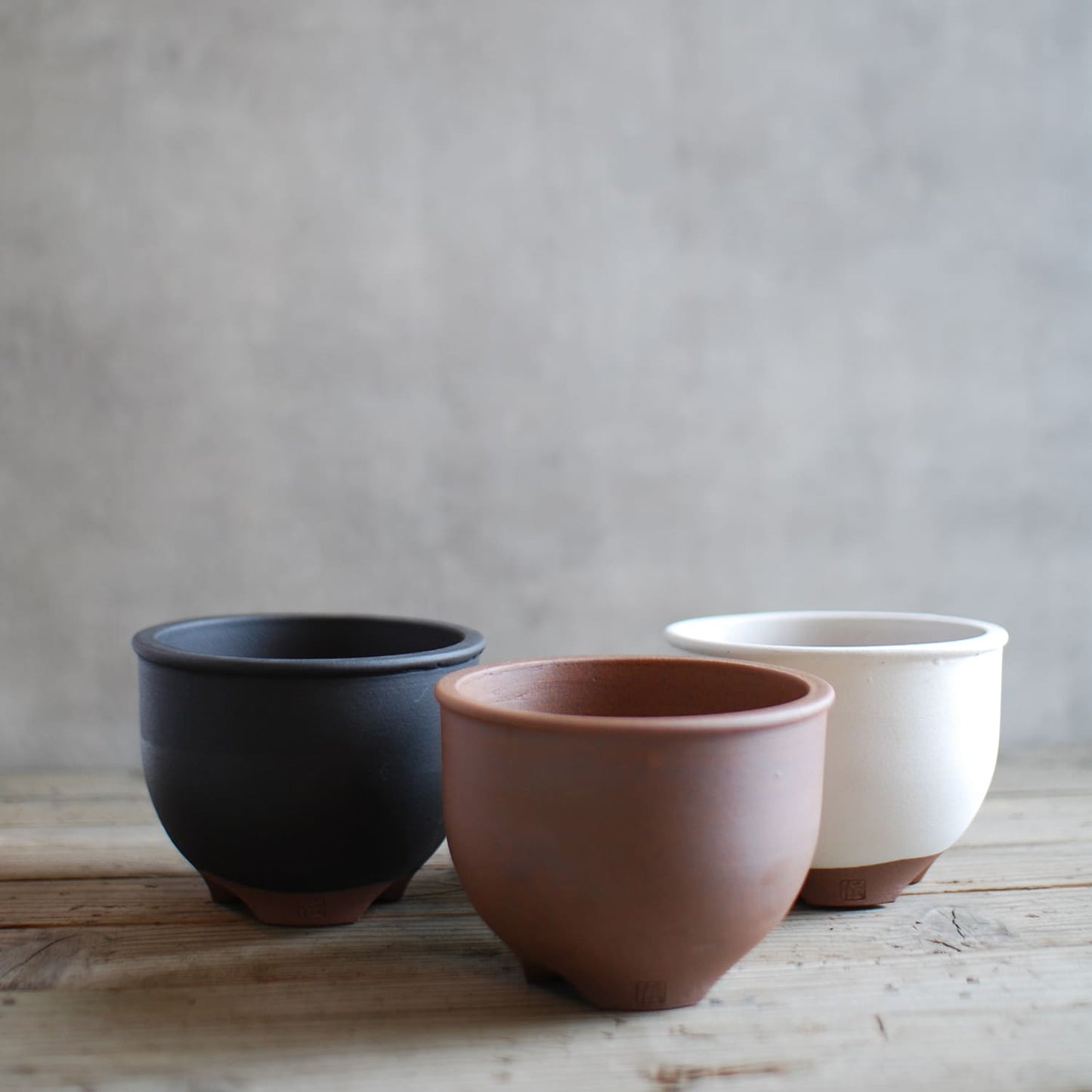 伝市鉢 コウロ型(サクラソウ型) 白化粧 5号