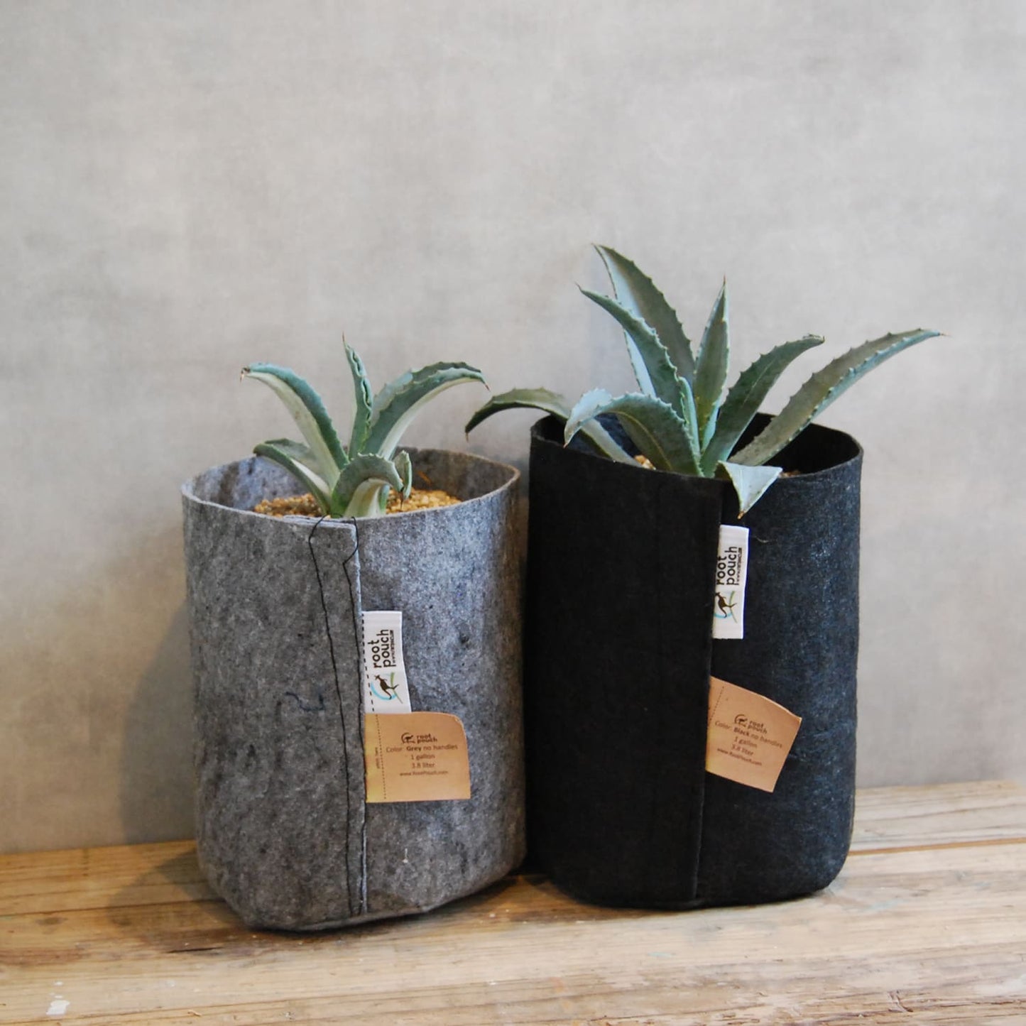 ルーツポーチ(root pouch)持ち手なし