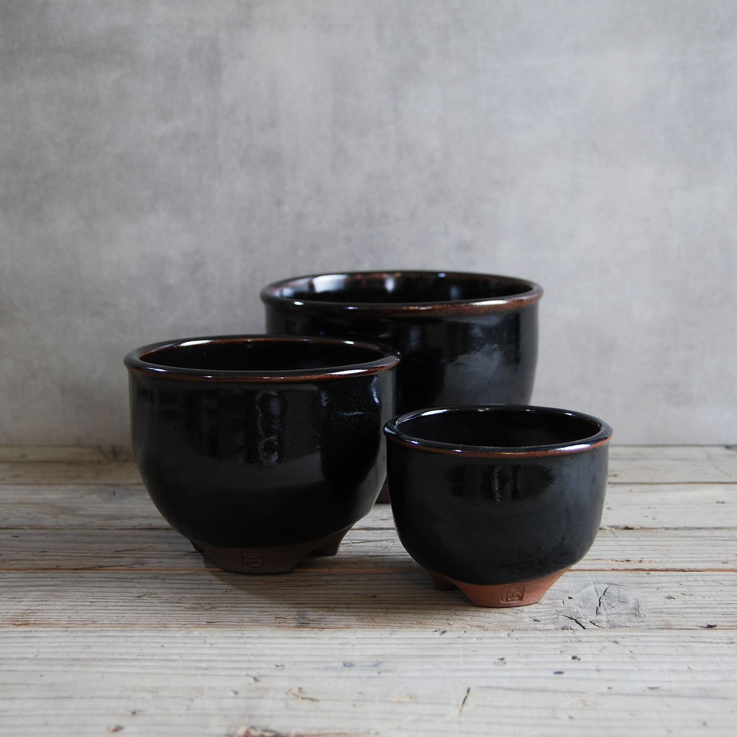 伝市鉢 コウロ型(サクラソウ型) 丹波黒 5号