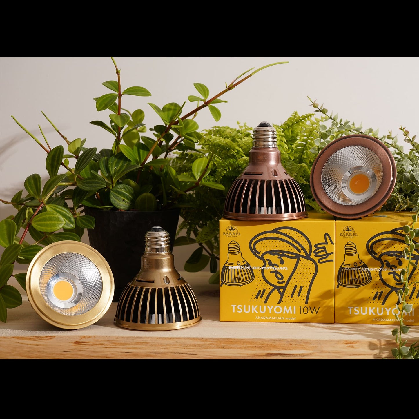 TSKUYOMI 10W アカダマちゃんモデル(ツクヨミLED 10W)植物育成LED ゴールド ブロンズ