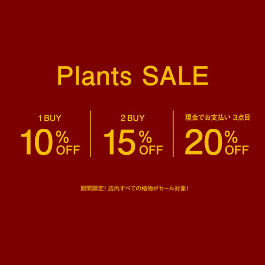 【店舗】植物Sale! 開催のお知らせ