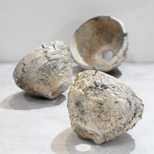 高木浩二さんの植木鉢をオンラインストアに追加しました！