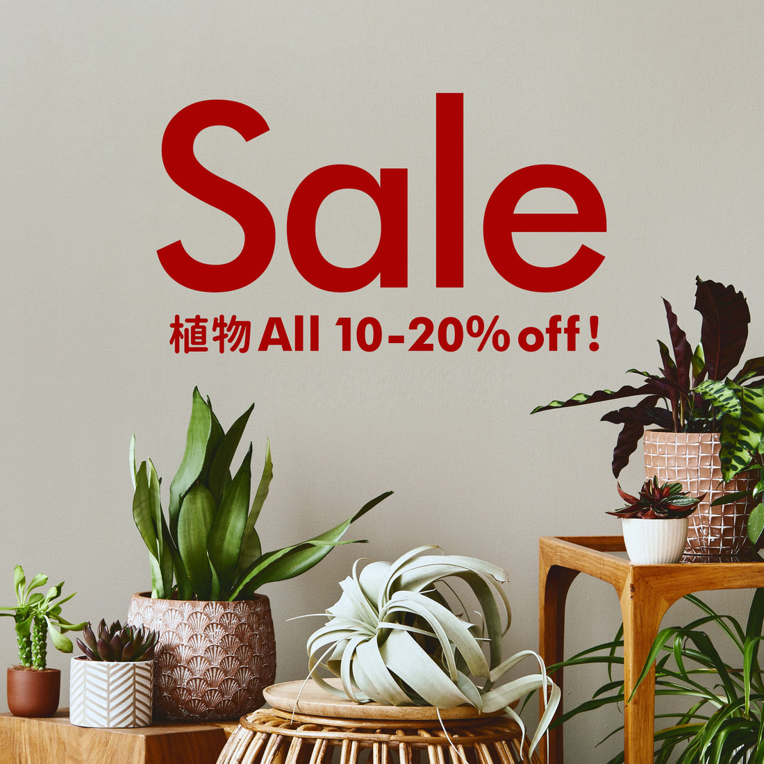 SALE開催！