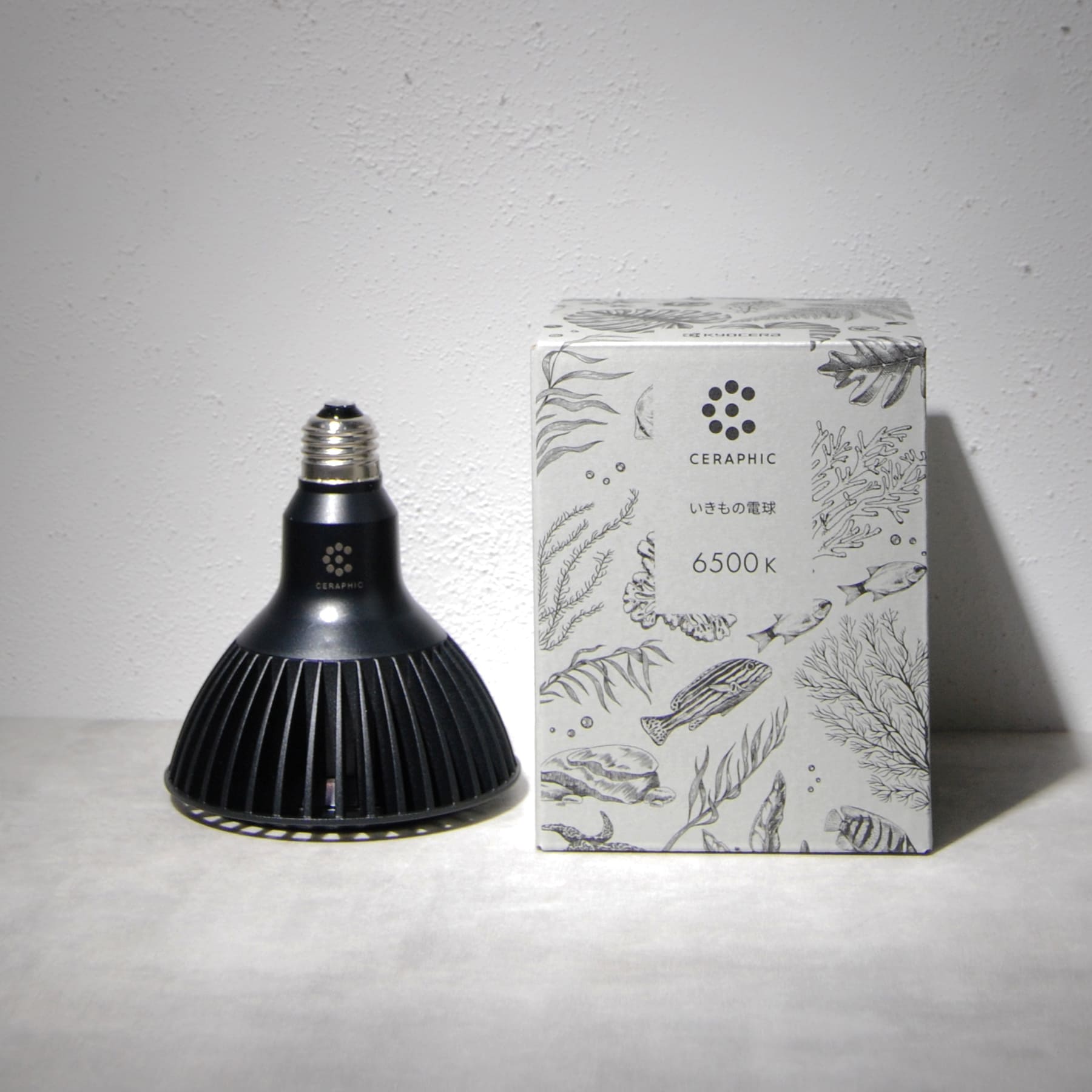 京セラ CERAPHIC（セラフィック）いきもの電球【KYOCERA