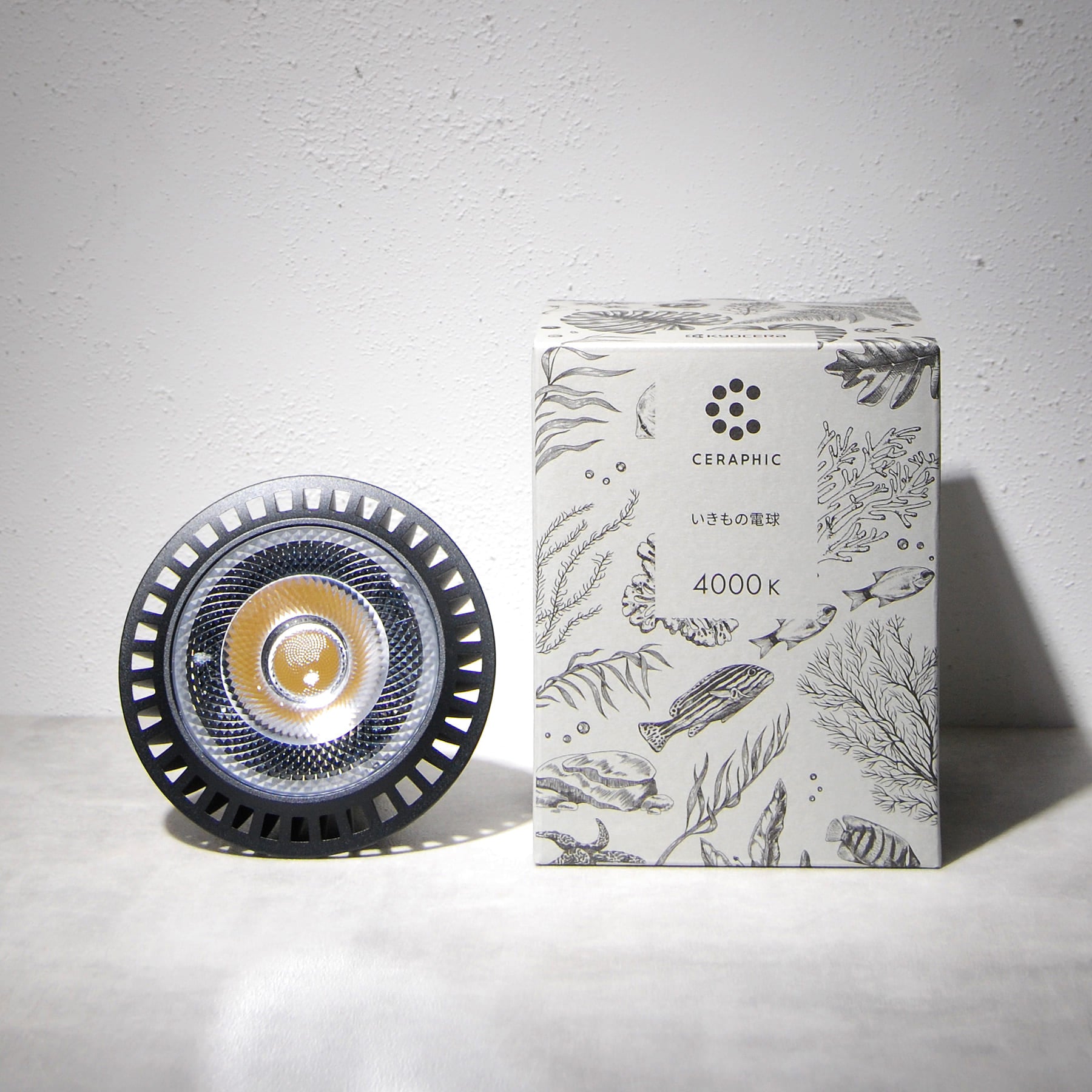 九良ほし光 Z/X -Zillions of enemy X- 爆拳！綺羅星＜コズミック・グリッター