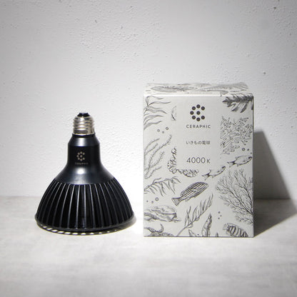 京セラ CERAPHIC（セラフィック）いきもの電球【KYOCERA】