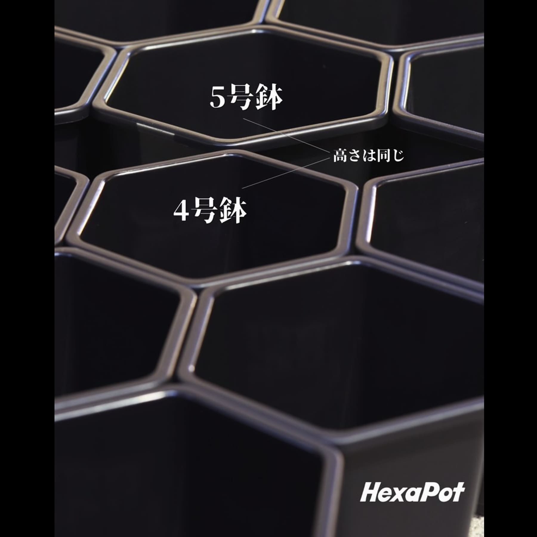HexaPot（ヘキサポット）4号 六角形プラ鉢 – linkplants -リンクプランツ-