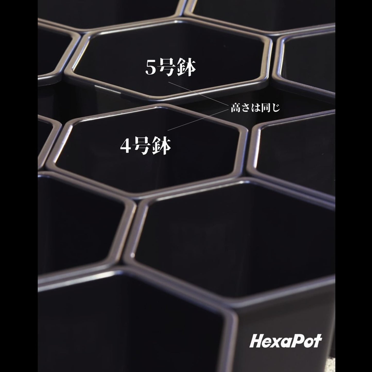 HexaPot（ヘキサポット）４号　六角形プラ鉢