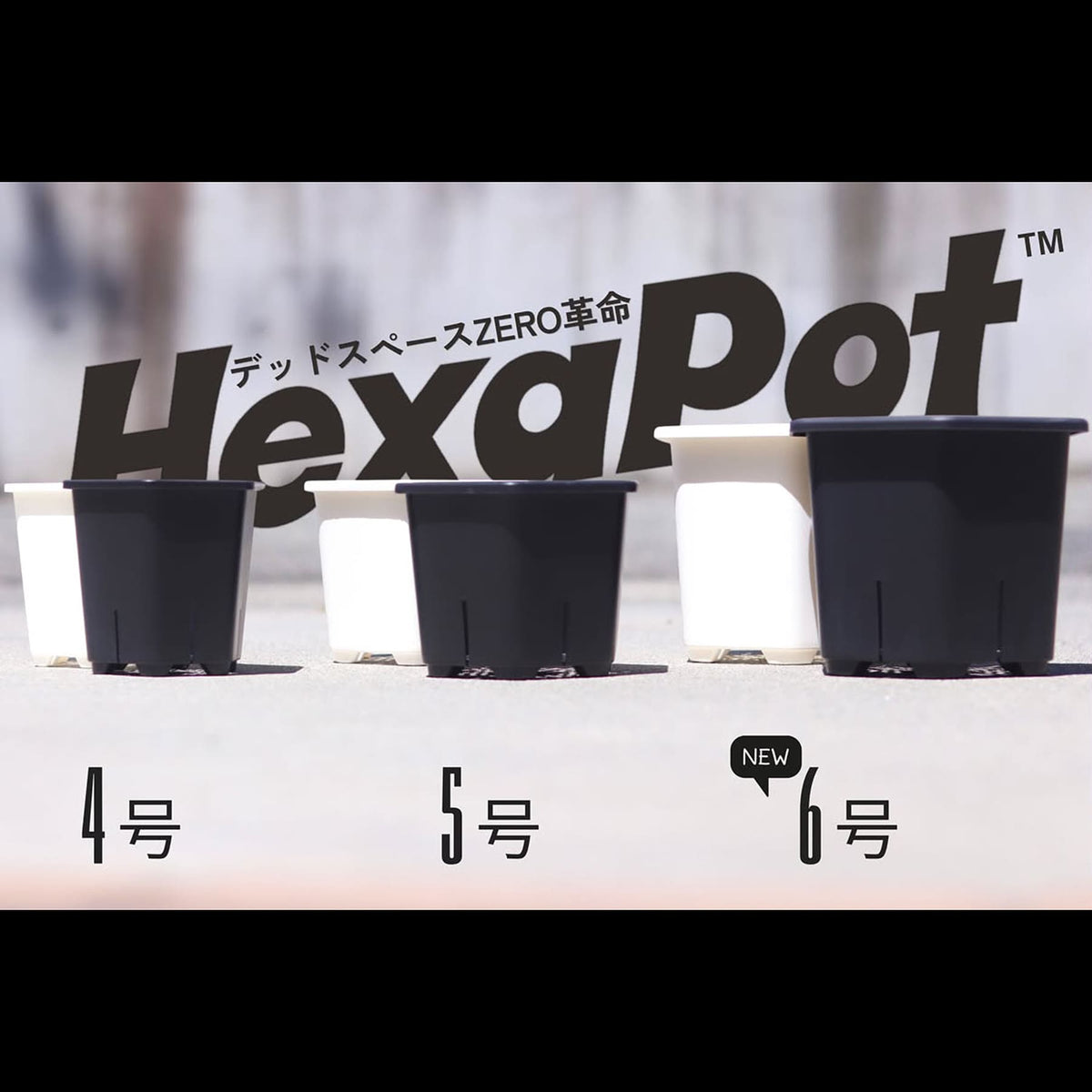 HexaPot（ヘキサポット）６号　六角形プラ鉢