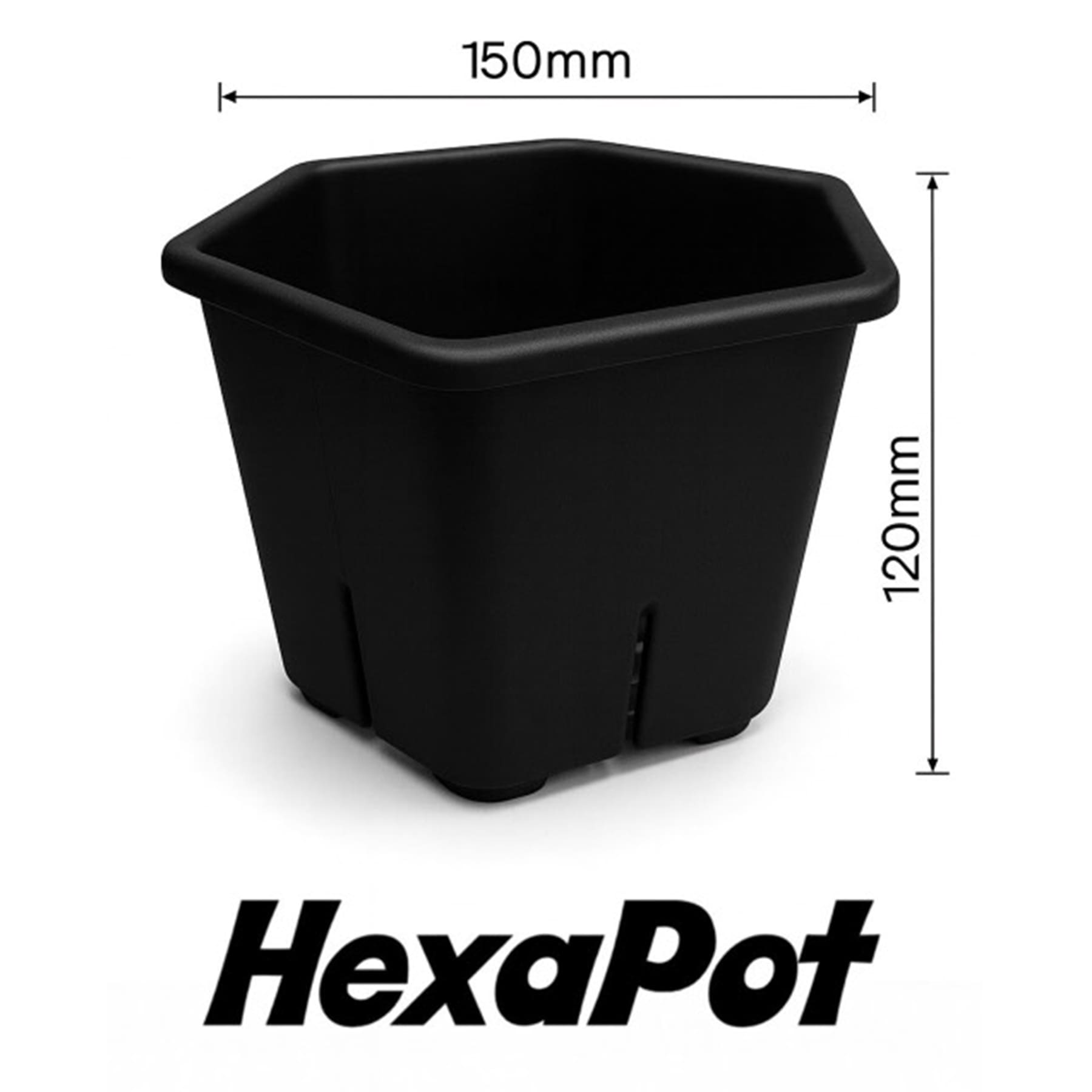 HexaPot（ヘキサポット）六角形プラ鉢 5号相当 – linkplants -リンク
