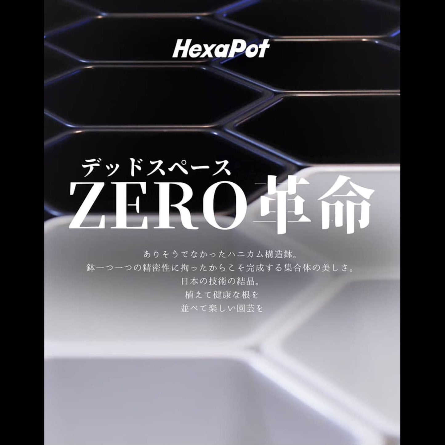 HexaPot（ヘキサポット）六角形プラ鉢　５号相当