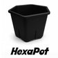 HexaPot（ヘキサポット）六角形プラ鉢　５号相当