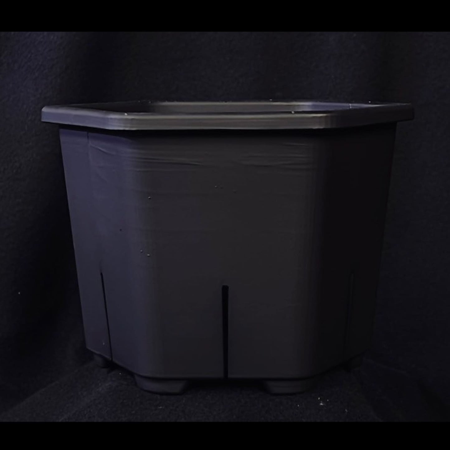 HexaPot（ヘキサポット）六角形プラ鉢　５号相当