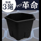 HexaPot（ヘキサポット）六角形プラ鉢　５号相当