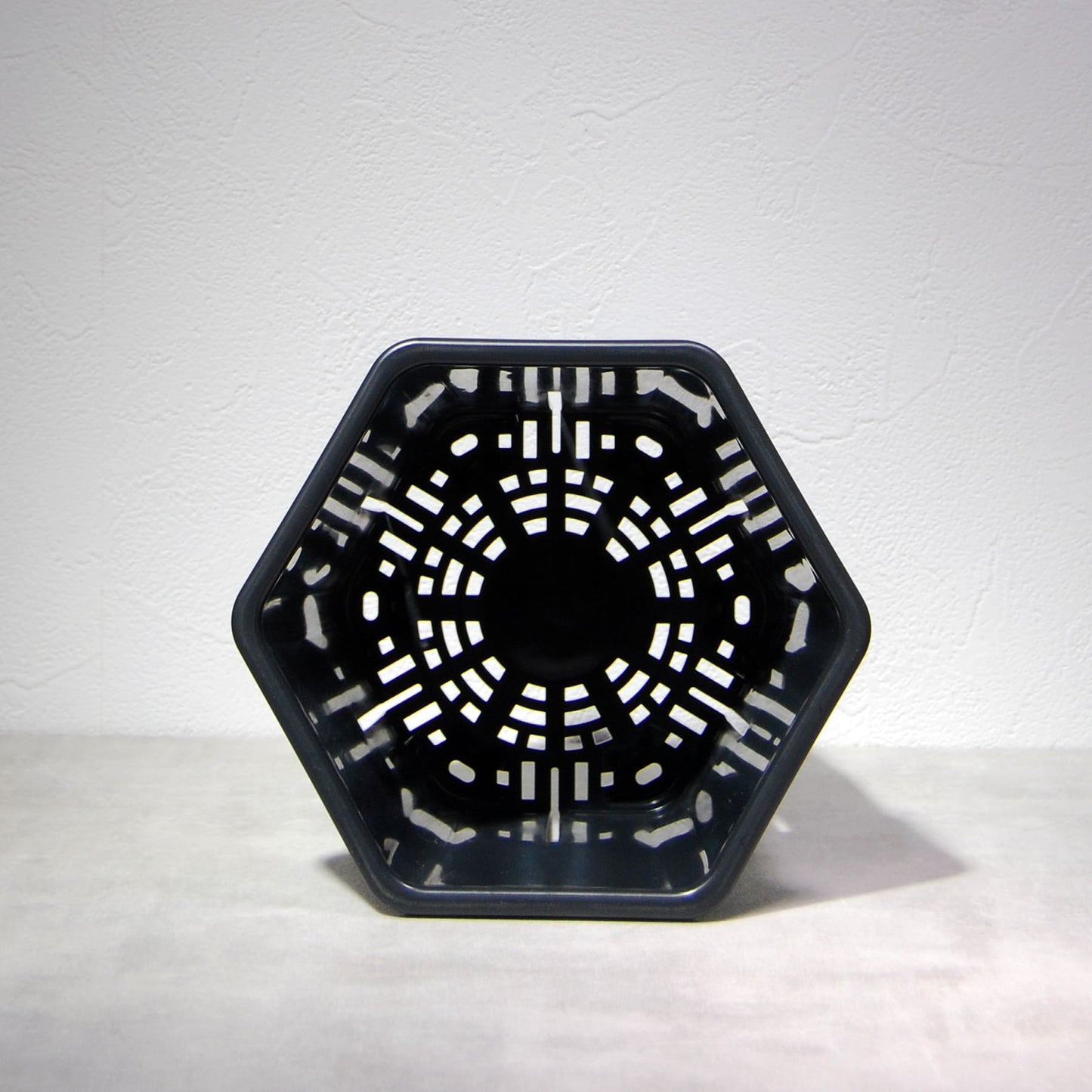 HexaPot（ヘキサポット）六角形プラ鉢　５号相当