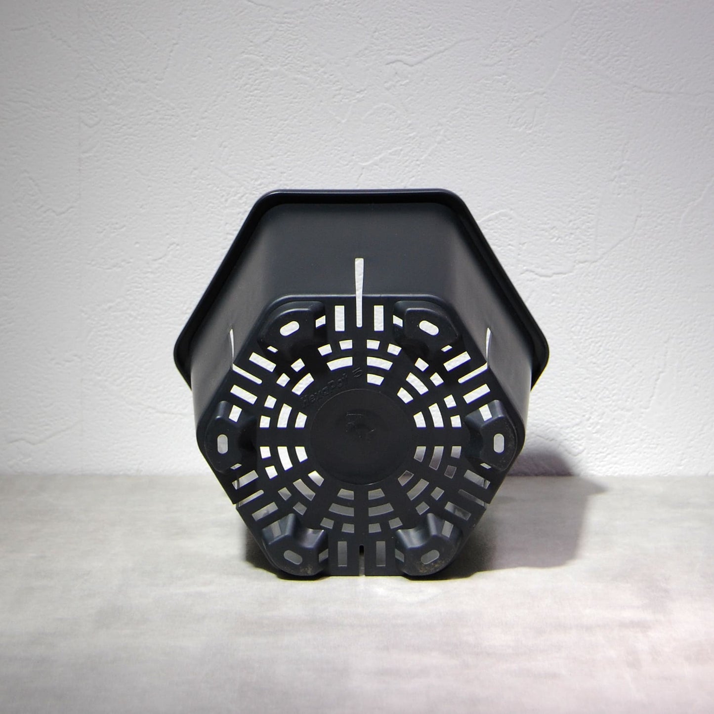 HexaPot（ヘキサポット）六角形プラ鉢　５号相当