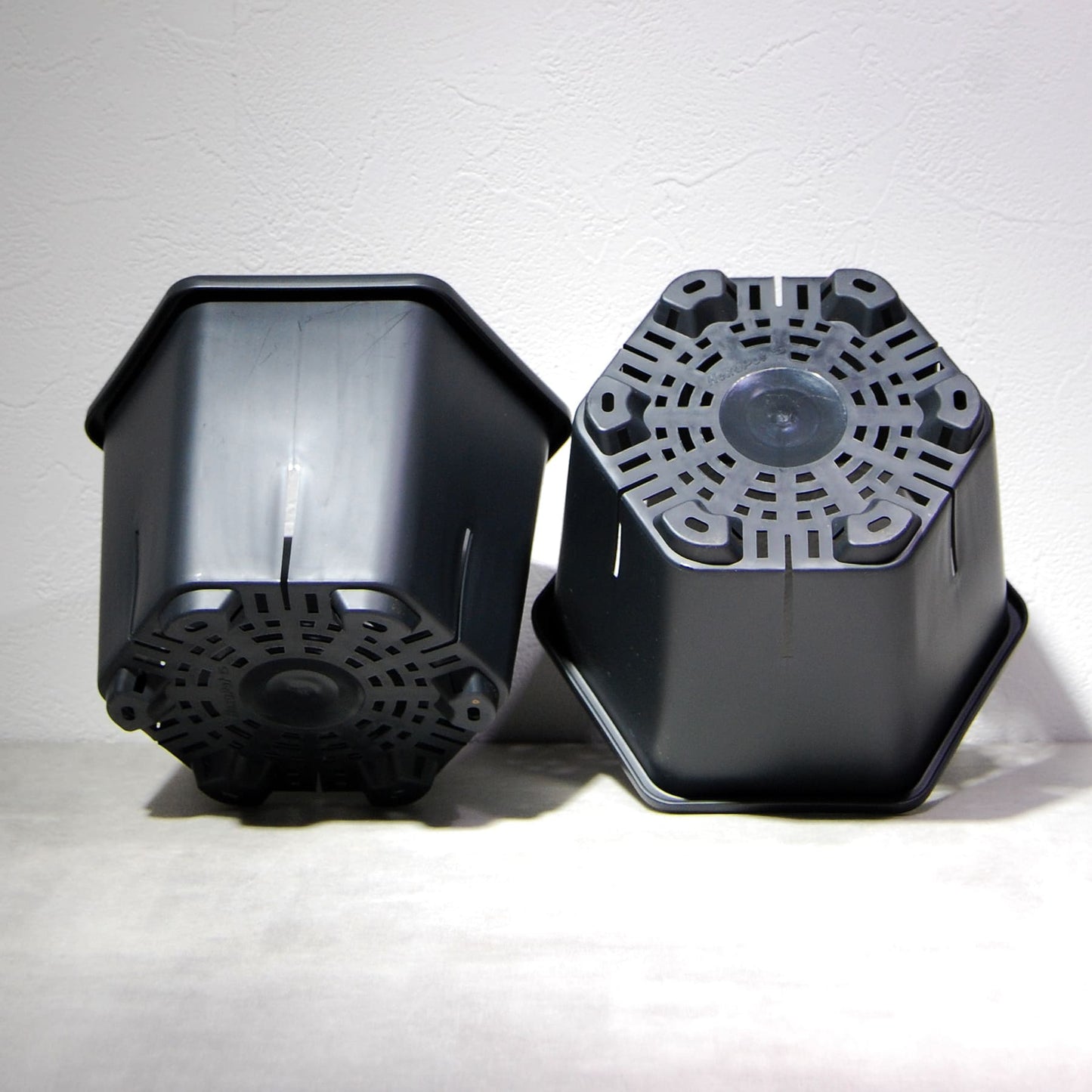 HexaPot（ヘキサポット）六角形プラ鉢　５号相当