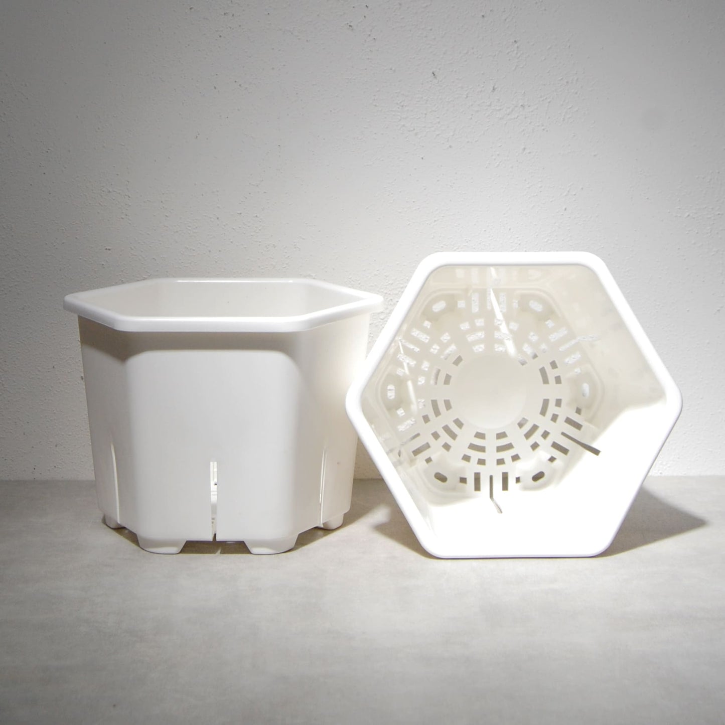 HexaPot（ヘキサポット）六角形プラ鉢　５号相当