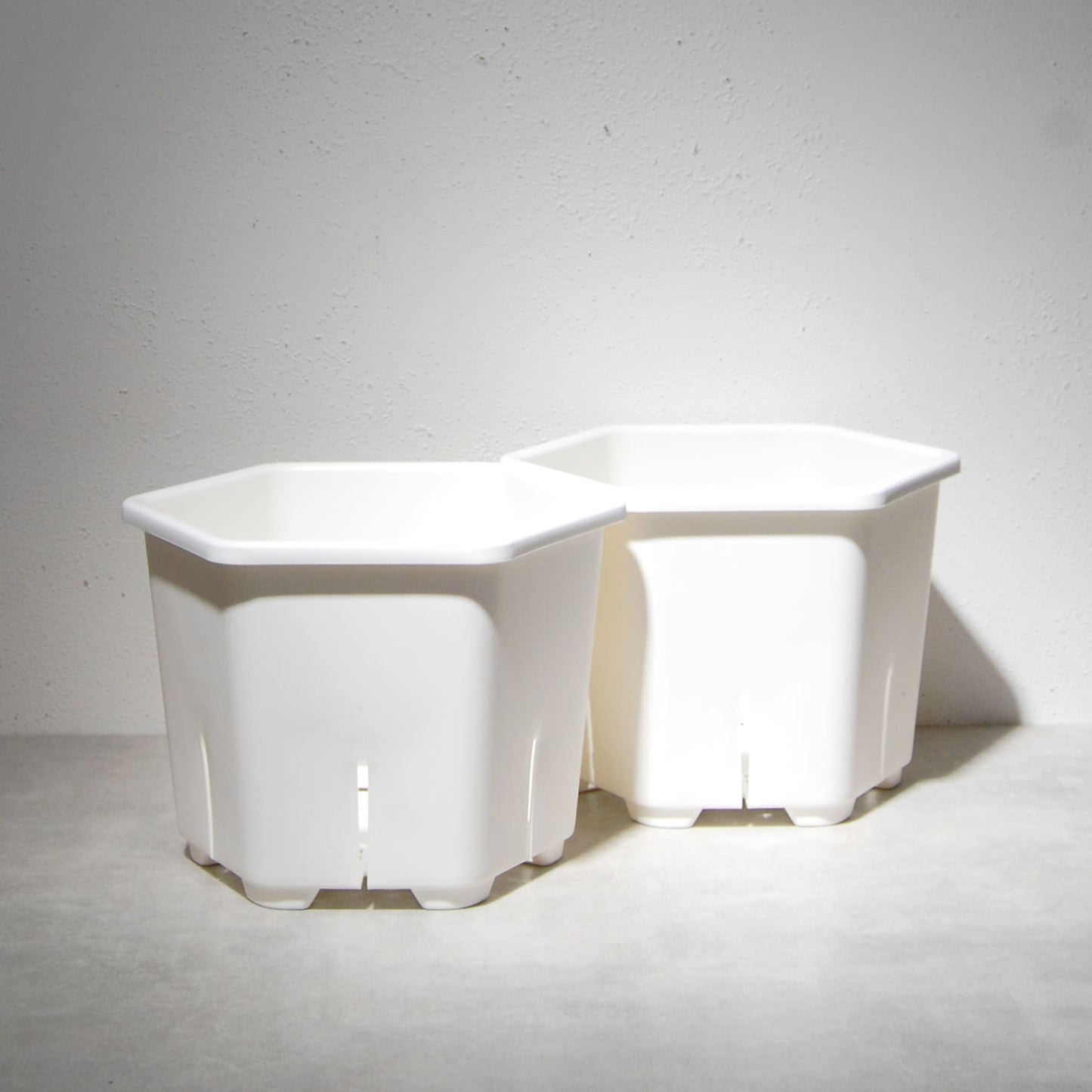 HexaPot（ヘキサポット）六角形プラ鉢　５号相当