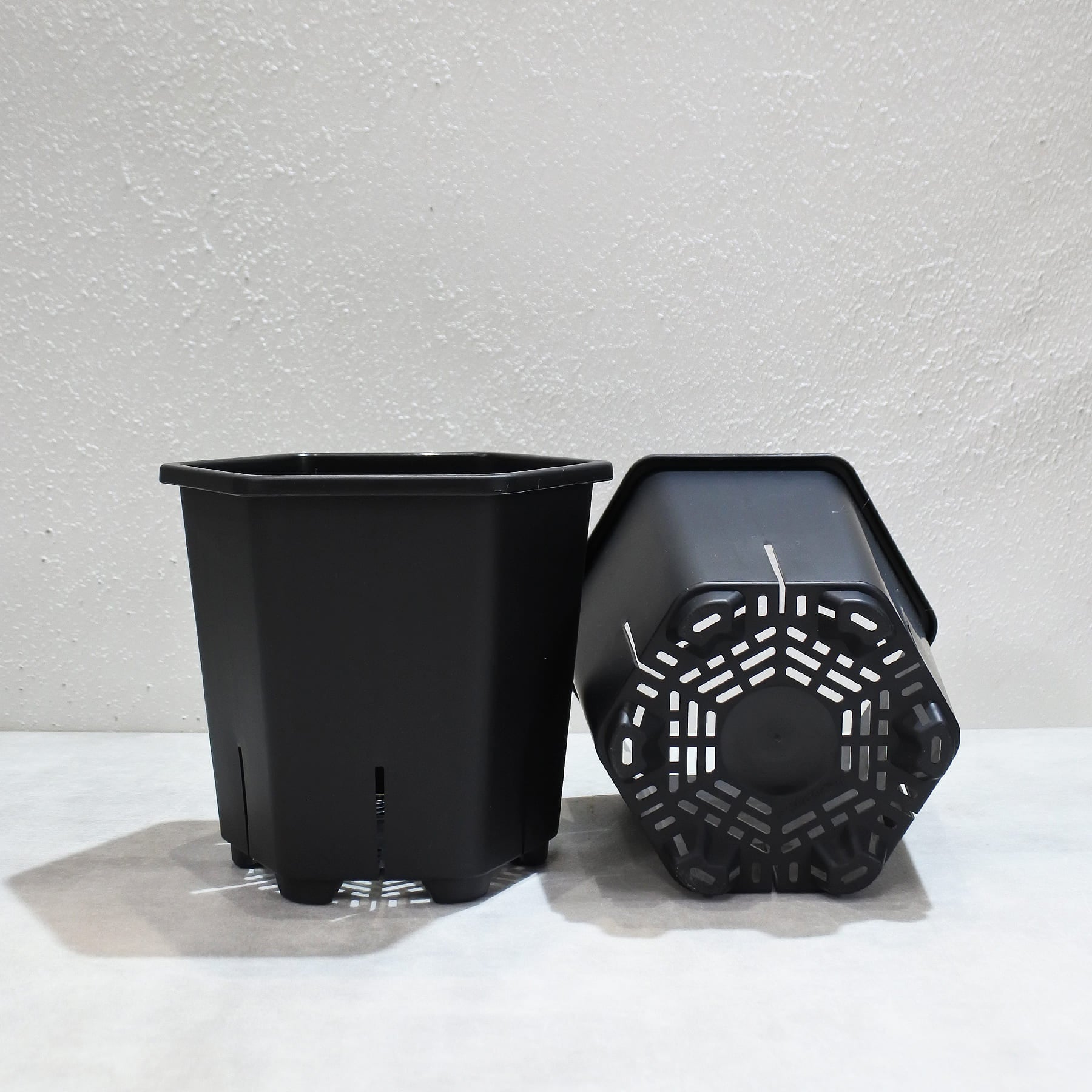 HEXA POT 22個セット Hexa Pot Japan – linkplants -リンクプランツ-