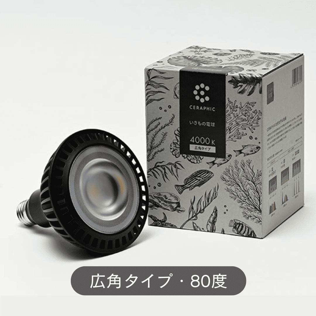 京セラ CERAPHIC(セラフィック)いきもの電球【KYOCERA 京セラ CERAPHIC(セラフィック)いきもの電球【KYOCERA