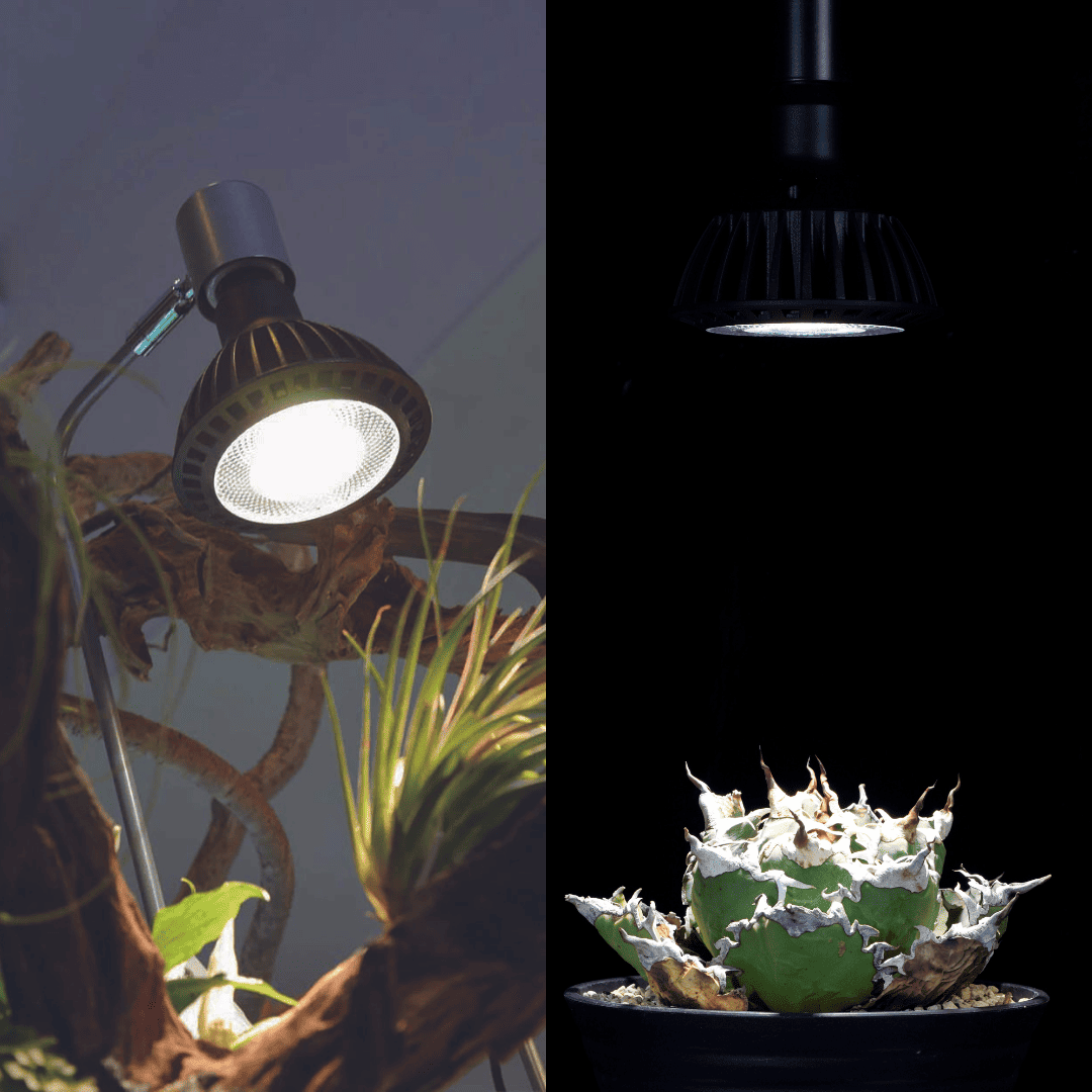 京セラ CERAPHIC（セラフィック）いきもの電球【KYOCERA