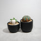 Plastic Pot「BowlMid」Size3　Maceta（マセタ）プラ鉢