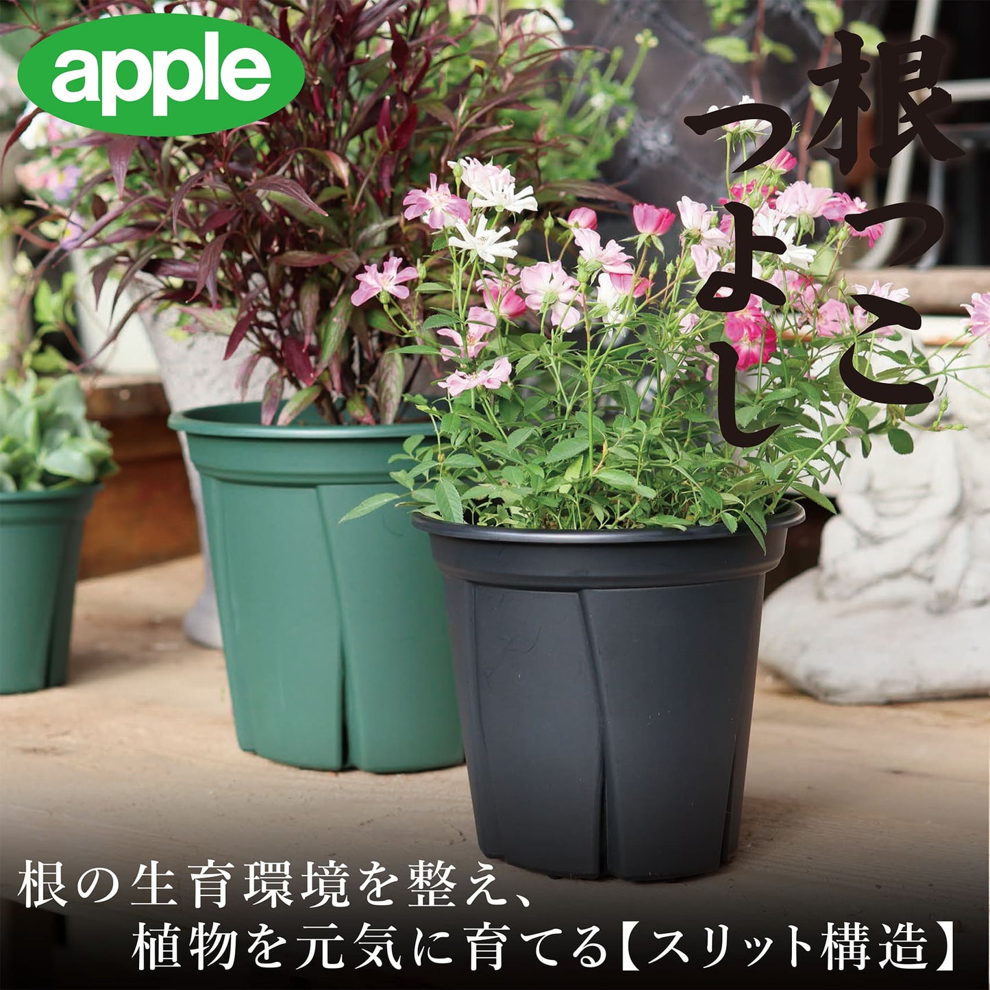 根っこつよし 3号（5個パック）　アップルウェアー（apple）