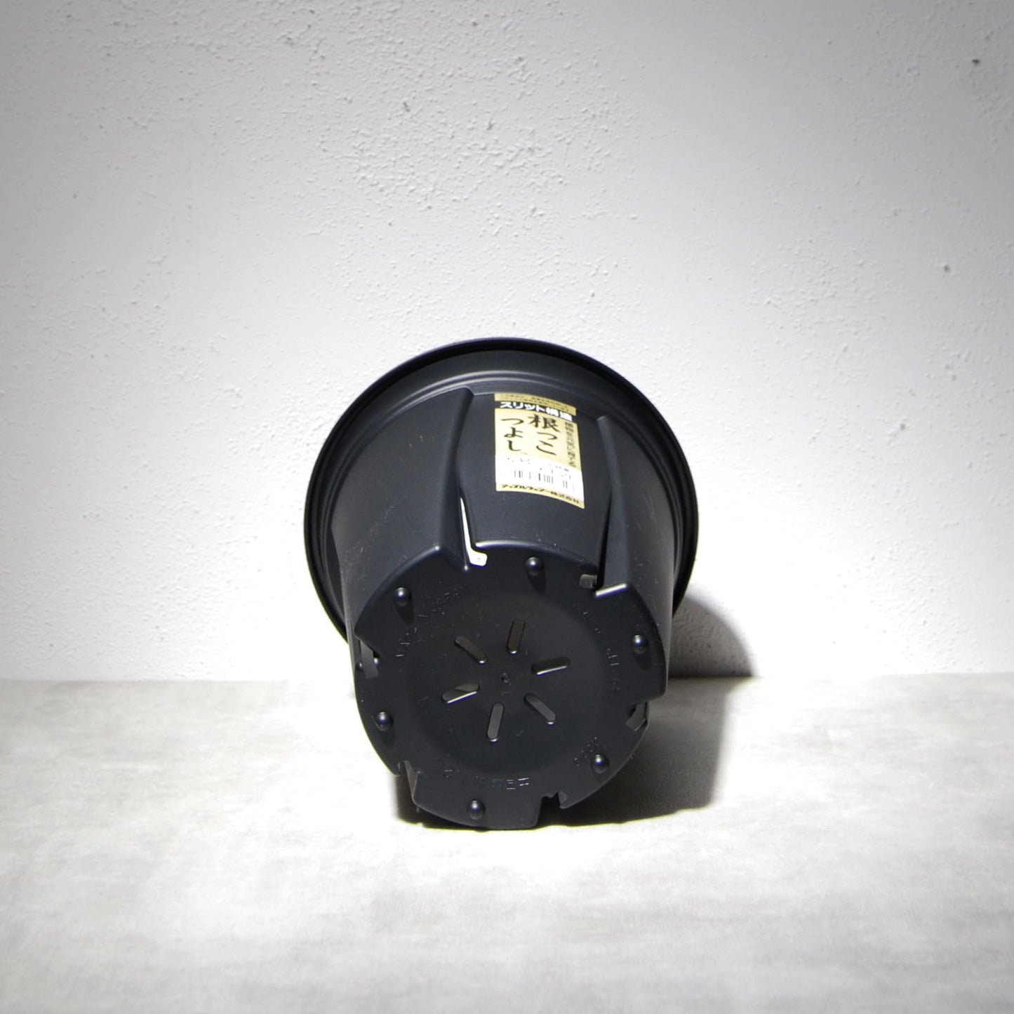 根っこつよし 5号　アップルウェアー（apple）