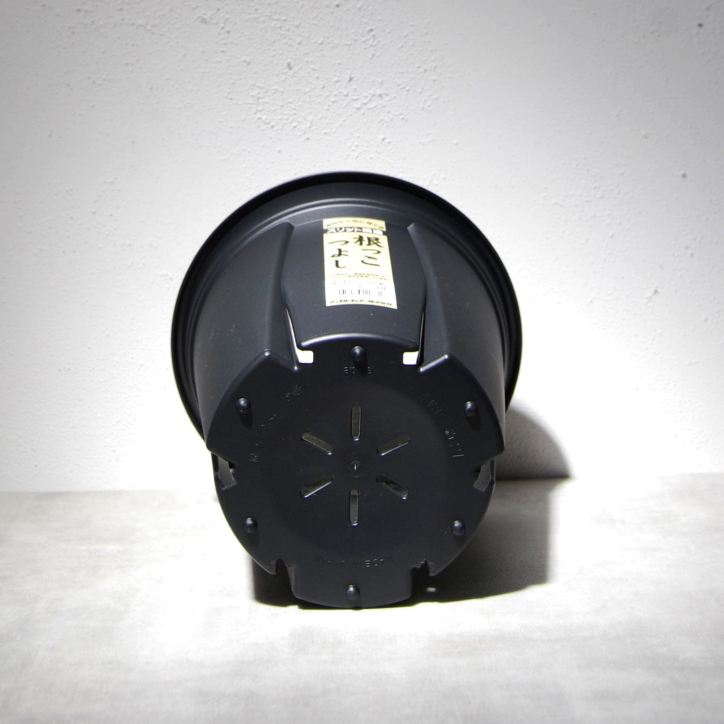 根っこつよし 6号　アップルウェアー（apple）