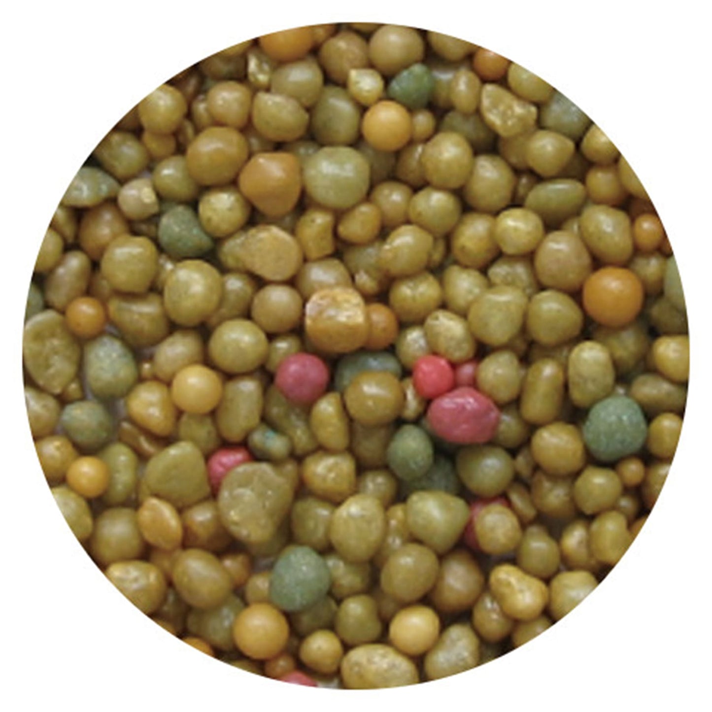 オスモコートエグザクトミニ 16-8-11 3-4ヶ月【10kg】