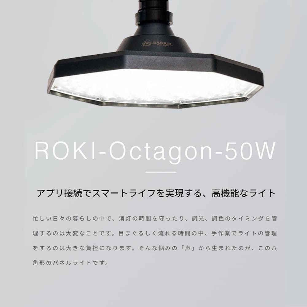 ROKI-Octagon-50W（ロキ オクタゴン 50W）