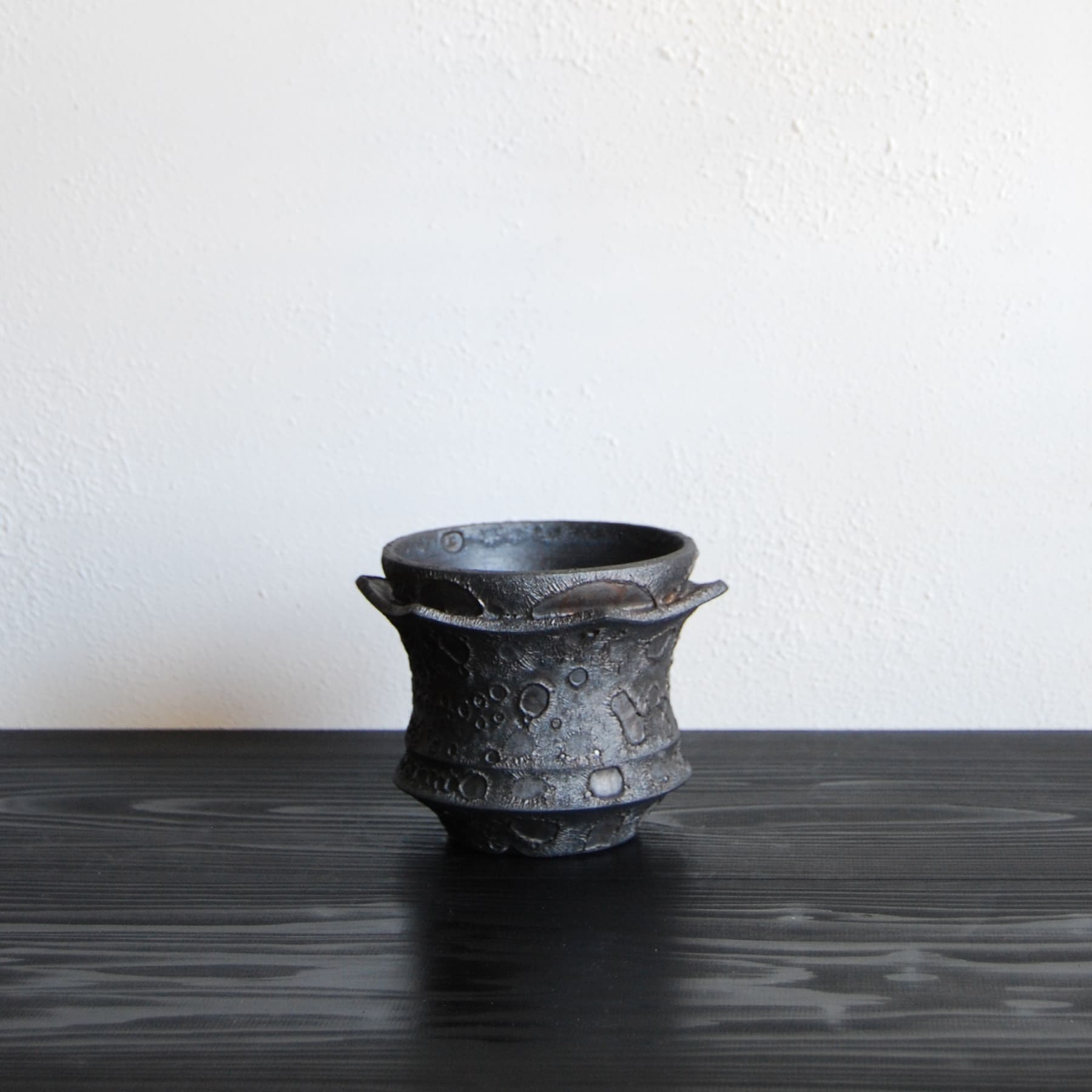 usagi ceramic laboratory 陶器鉢 アガベ チタノタ