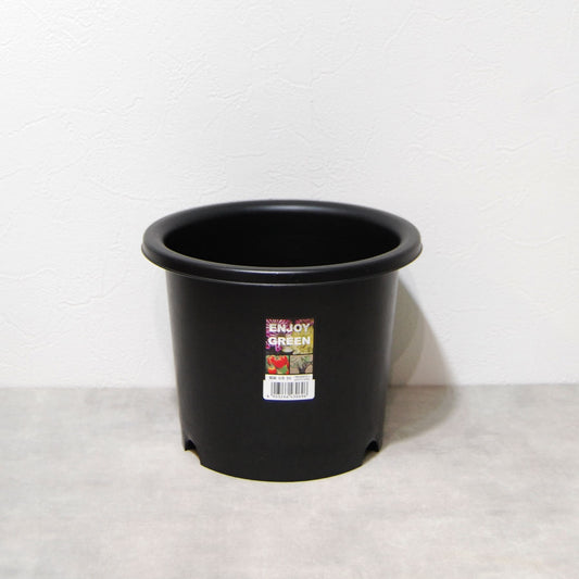 菊鉢 6号　大和プラスチック