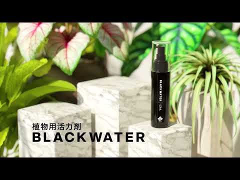 BLACK WATER（ブラックウォーター）BANKSコレクション – linkplants