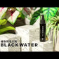 BLACK WATER（ブラックウォーター）BANKSコレクション