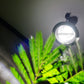 AMATERAS LED 20W（アマテラスLED 20W）植物育成LED